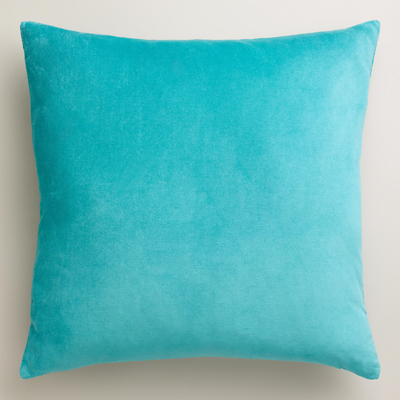 Aqua Velvet Throw Pillow | Everything Turquoise